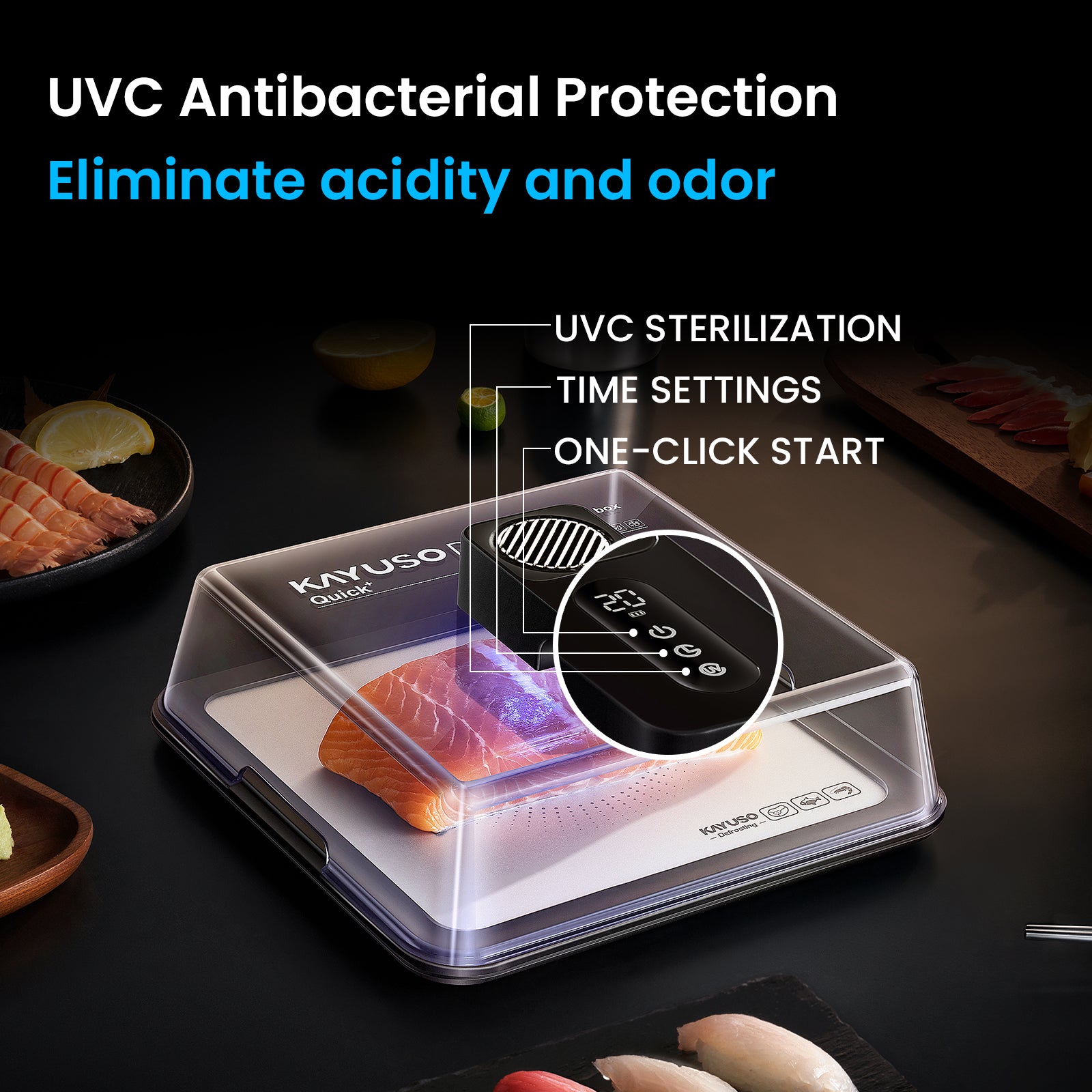 KAYUSO Quick Defrosting Box