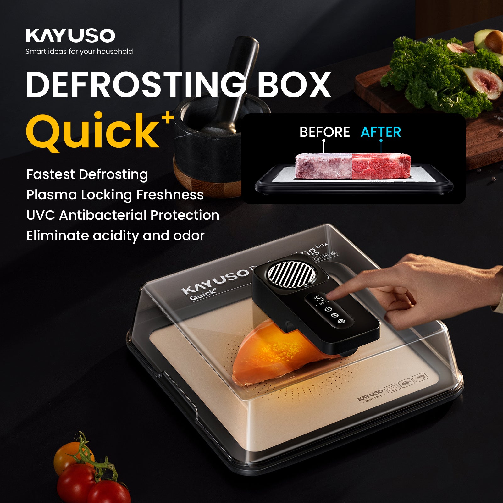 KAYUSO Quick Defrosting Box